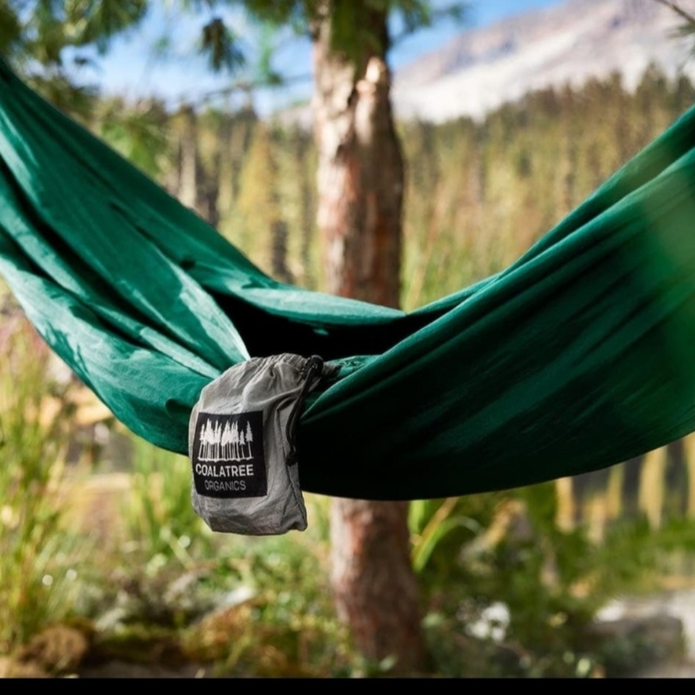 New COALATREE Hammock